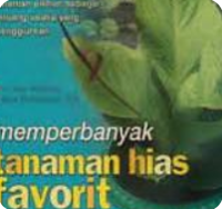 Image of Memperbanyak tanaman hias favorit