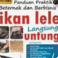 Image of Ikan lele Langsung untung