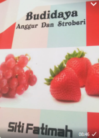 Image of Budidaya Anggur dan Stroberi