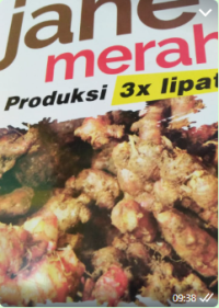 Image of Panen Jahe Mereh