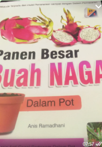 Image of Panen Besar Buah Naga