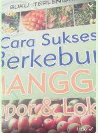 Image of Cara Sukses Berkebun mangga