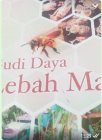 Image of Budidaya lebah madu