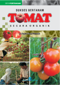 Image of Sukses bertanam Tomat Secara Organik
