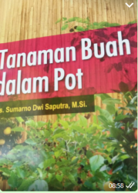 Image of Tanaman Buah Dalam Pot