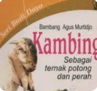 Image of KAMBING SEBAGAI TERNAK POTONG DAN PERAH