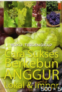 Image of Cara Sukses Berkebun Anggur