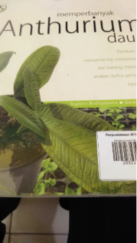 Image of Memperbanyak Anthurium Daun